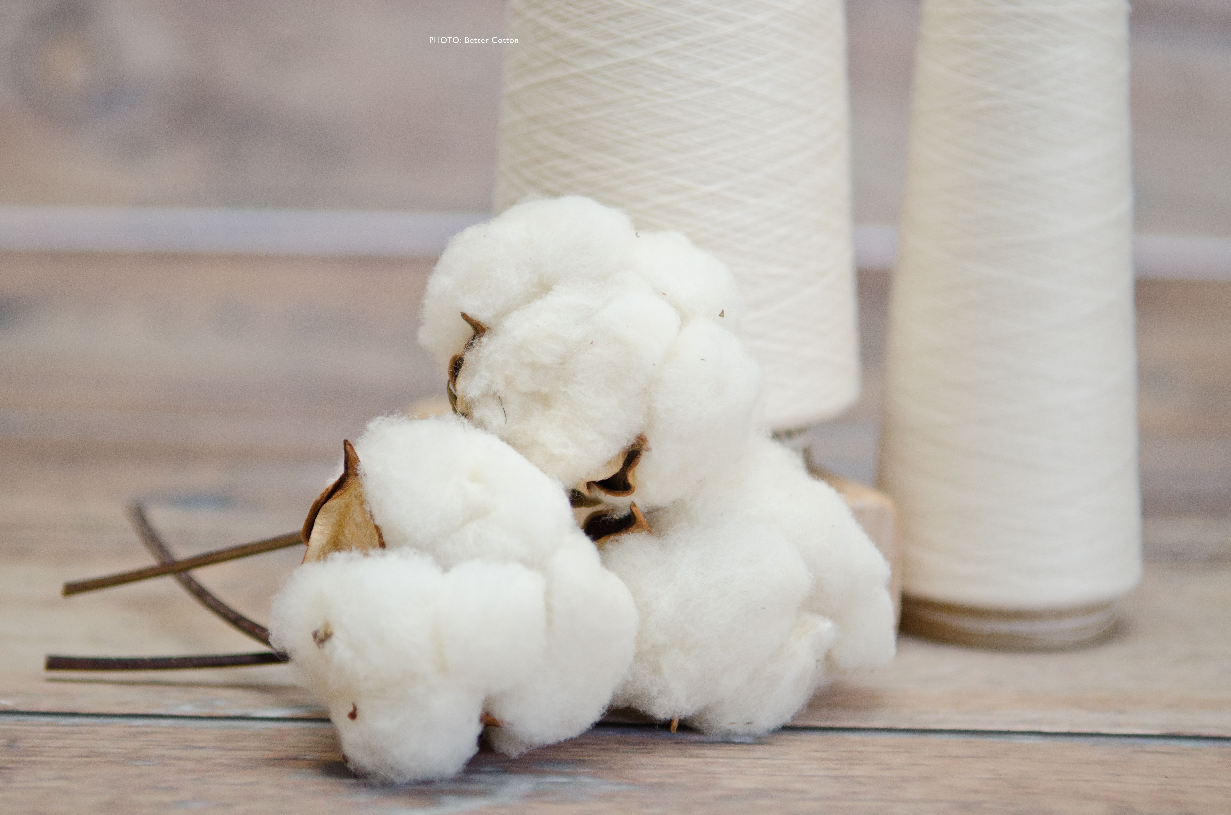 bci cotton